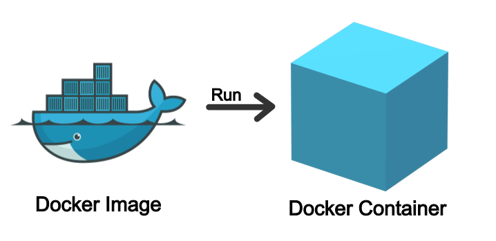 Docker Image Run Docker Container